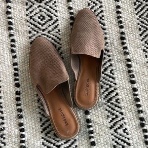 Indigo rd Mules